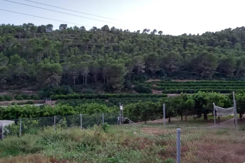 Terraced House In Natural Essence Favareta Εξωτερικό φωτογραφία